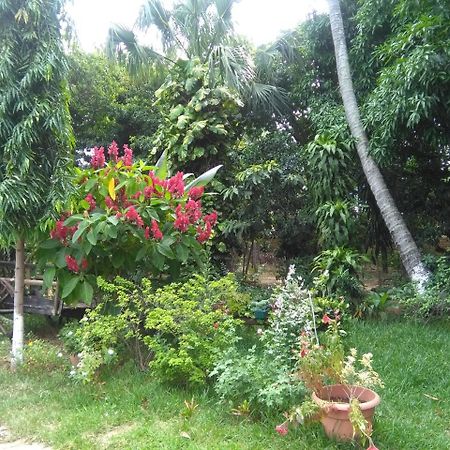 Hostal Casa Vieja Chiquimula Exteriör bild
