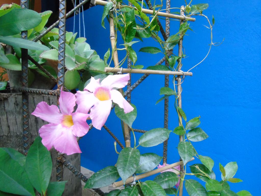 Hostal Casa Vieja Chiquimula Exteriör bild