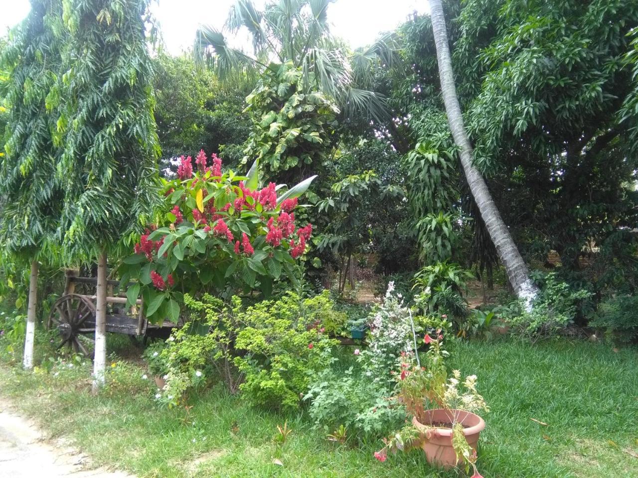 Hostal Casa Vieja Chiquimula Exteriör bild